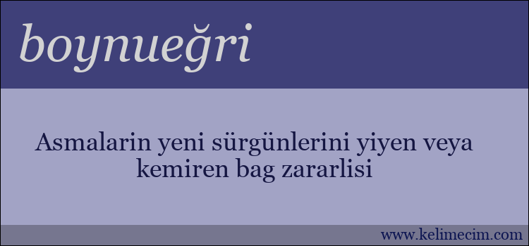 boynueğri kelimesinin anlamı ne demek?