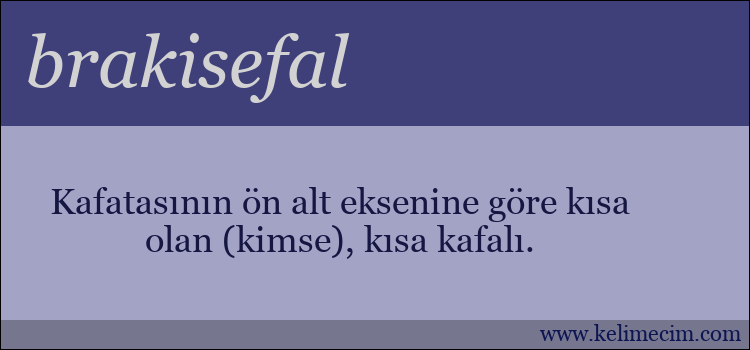 brakisefal kelimesinin anlamı ne demek?