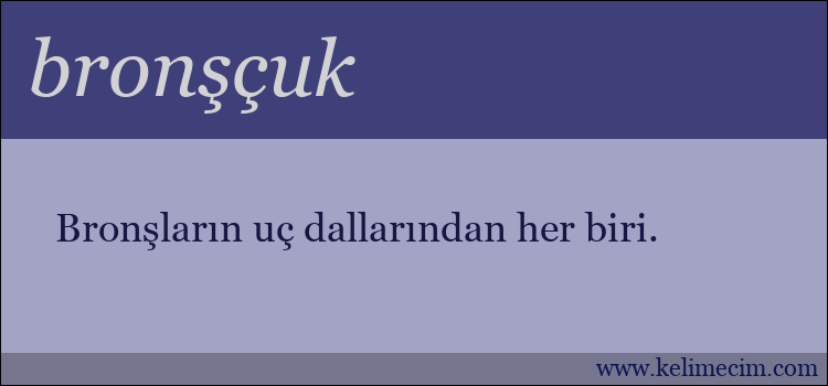 bronşçuk kelimesinin anlamı ne demek?