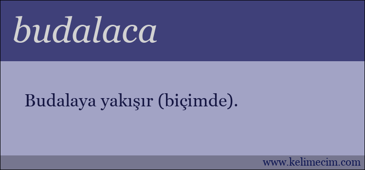 budalaca kelimesinin anlamı ne demek?