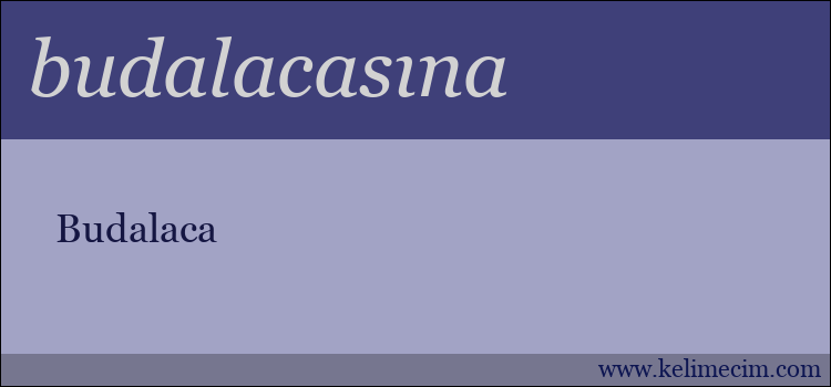 budalacasına kelimesinin anlamı ne demek?