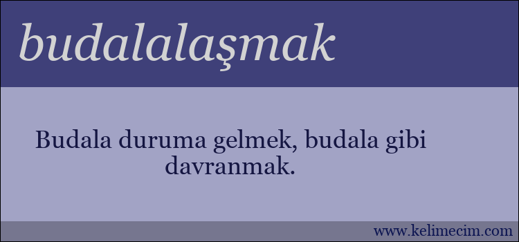 budalalaşmak kelimesinin anlamı ne demek?