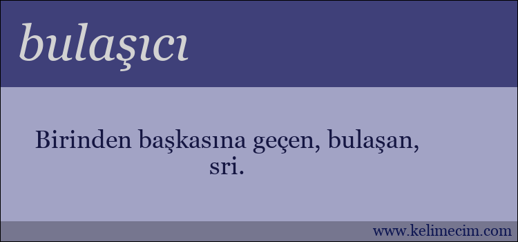 bulaşıcı kelimesinin anlamı ne demek?