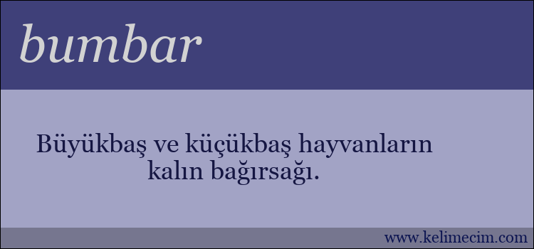 bumbar kelimesinin anlamı ne demek?