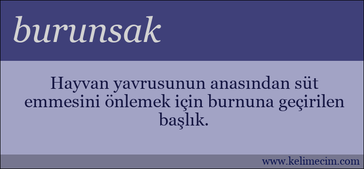 burunsak kelimesinin anlamı ne demek?