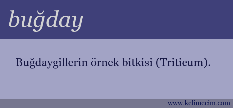 buğday kelimesinin anlamı ne demek?