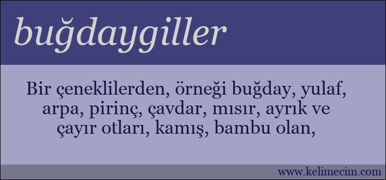 buğdaygiller kelimesinin anlamı ne demek?