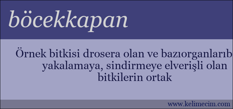 böcekkapan kelimesinin anlamı ne demek?