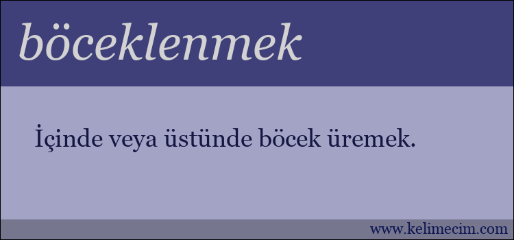 böceklenmek kelimesinin anlamı ne demek?