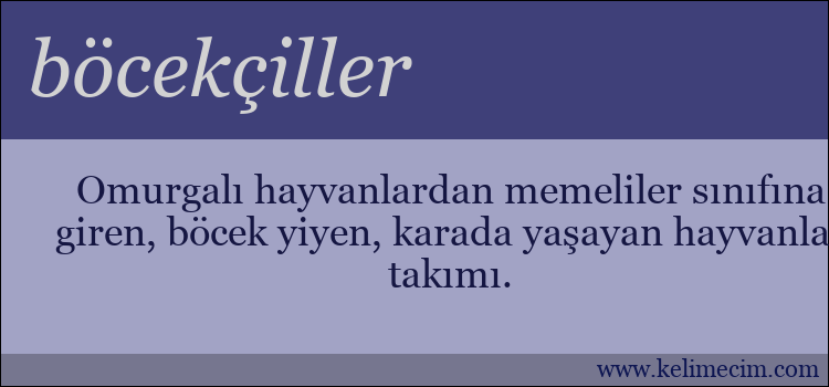 böcekçiller kelimesinin anlamı ne demek?