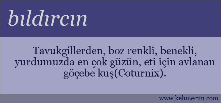 bıldırcın kelimesinin anlamı ne demek?