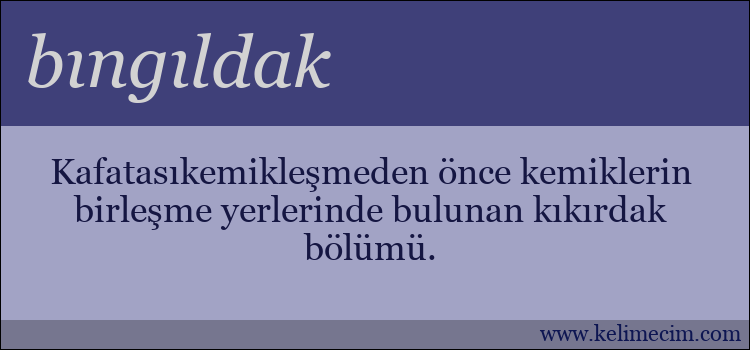 bıngıldak kelimesinin anlamı ne demek?