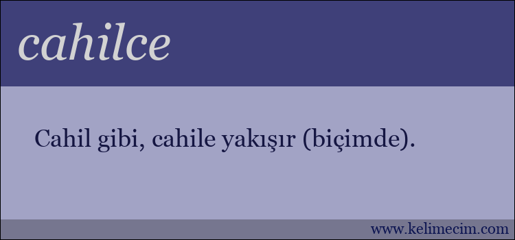 cahilce kelimesinin anlamı ne demek?