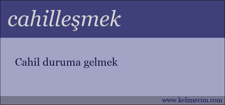 cahilleşmek kelimesinin anlamı ne demek?