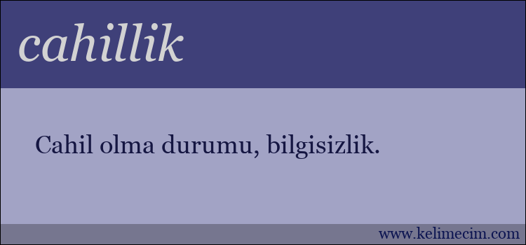 cahillik kelimesinin anlamı ne demek?