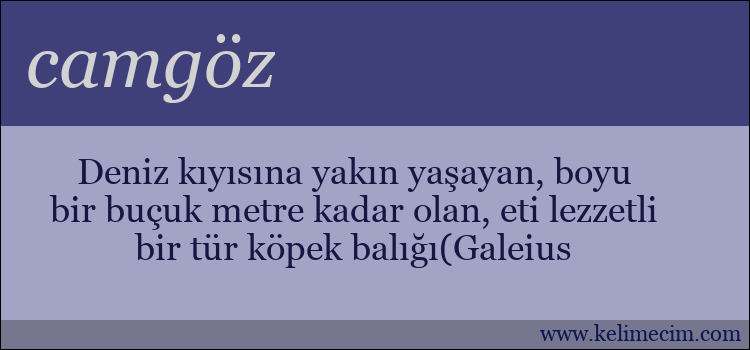 camgöz kelimesinin anlamı ne demek?