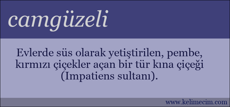 camgüzeli kelimesinin anlamı ne demek?