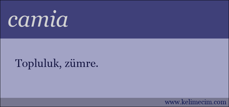 camia kelimesinin anlamı ne demek?