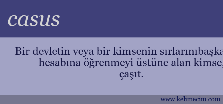 casus kelimesinin anlamı ne demek?