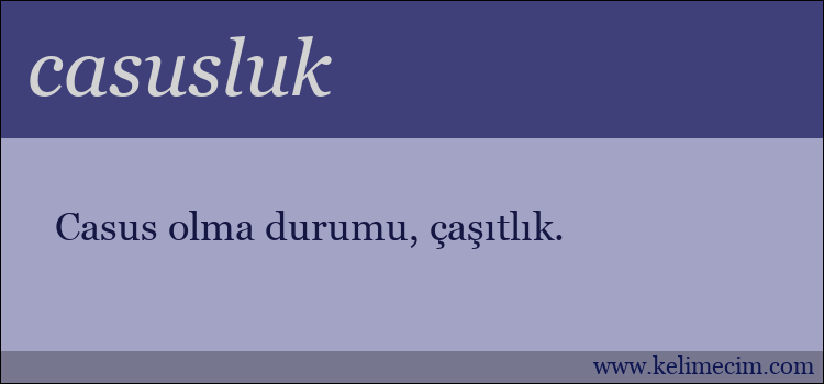 casusluk kelimesinin anlamı ne demek?