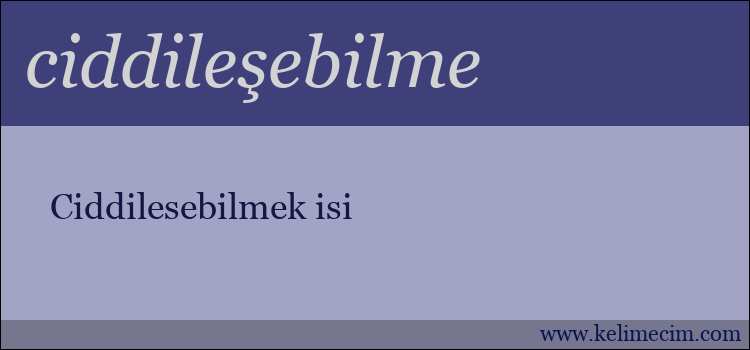 ciddileşebilme kelimesinin anlamı ne demek?