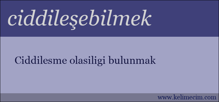 ciddileşebilmek kelimesinin anlamı ne demek?