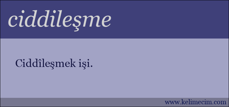 ciddileşme kelimesinin anlamı ne demek?