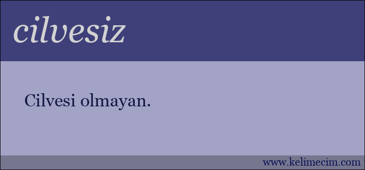 cilvesiz kelimesinin anlamı ne demek?