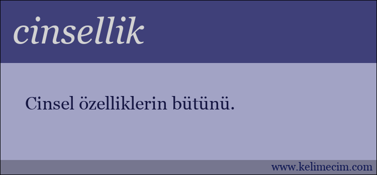 cinsellik kelimesinin anlamı ne demek?