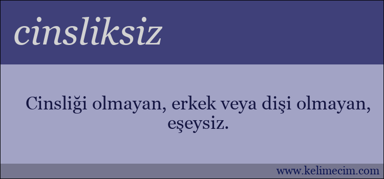 cinsliksiz kelimesinin anlamı ne demek?