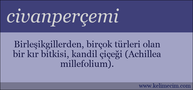 civanperçemi kelimesinin anlamı ne demek?