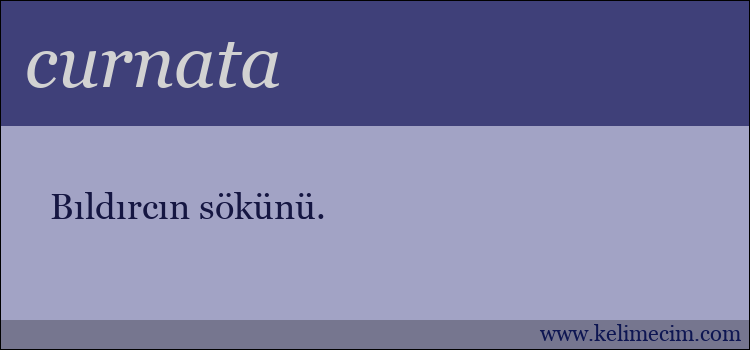 curnata kelimesinin anlamı ne demek?