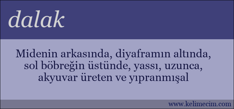 dalak kelimesinin anlamı ne demek?