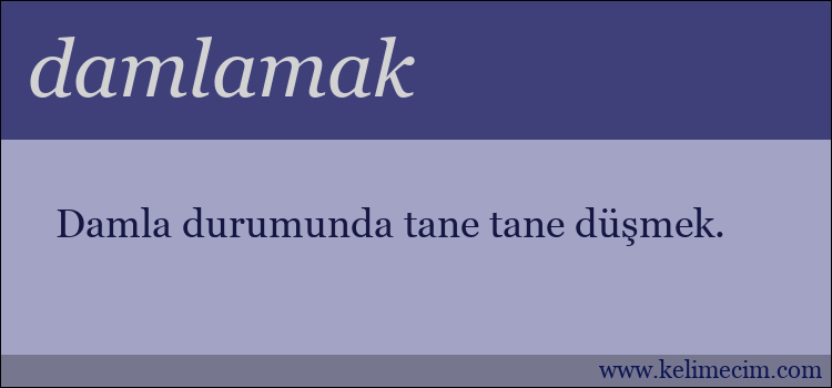 damlamak kelimesinin anlamı ne demek?