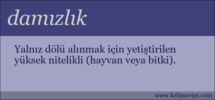 damızlık kelimesinin anlamı ne demek?