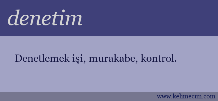 denetim kelimesinin anlamı ne demek?