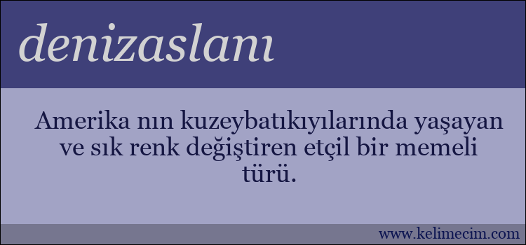 denizaslanı kelimesinin anlamı ne demek?