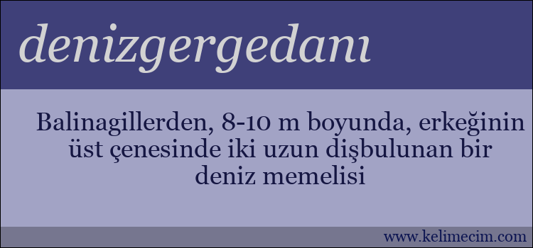 denizgergedanı kelimesinin anlamı ne demek?