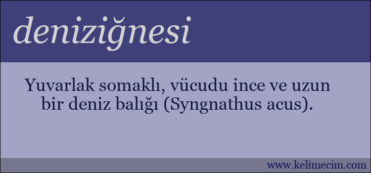 deniziğnesi kelimesinin anlamı ne demek?