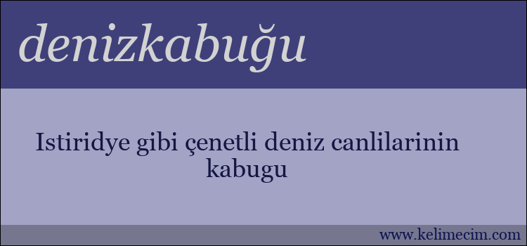 denizkabuğu kelimesinin anlamı ne demek?