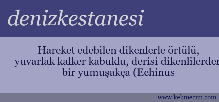 denizkestanesi kelimesinin anlamı ne demek?