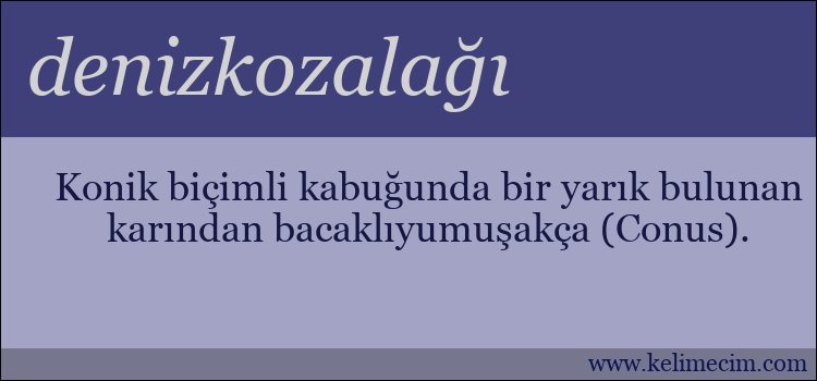 denizkozalağı kelimesinin anlamı ne demek?