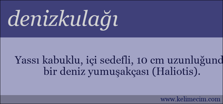 denizkulağı kelimesinin anlamı ne demek?