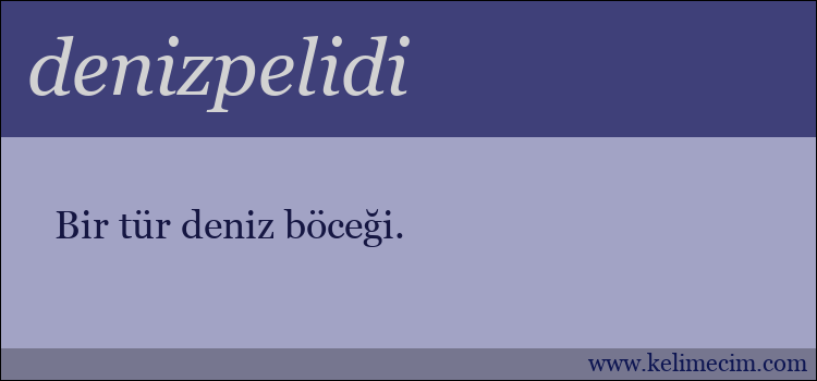 denizpelidi kelimesinin anlamı ne demek?