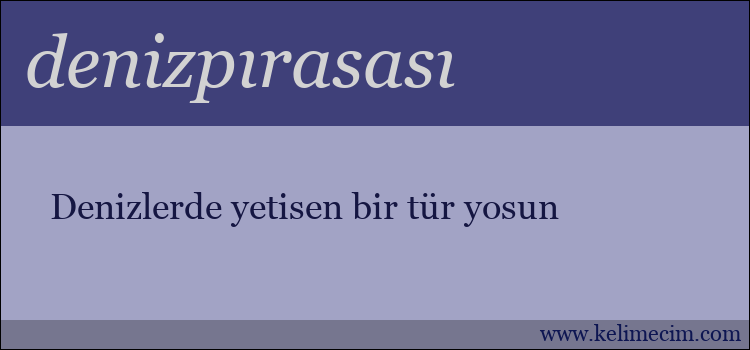 denizpırasası kelimesinin anlamı ne demek?