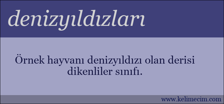 denizyıldızları kelimesinin anlamı ne demek?