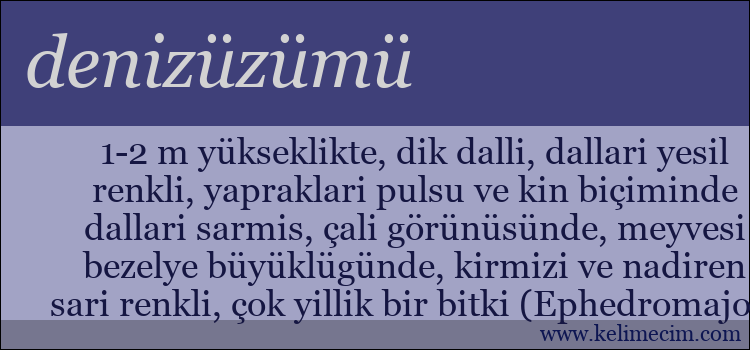 denizüzümü kelimesinin anlamı ne demek?