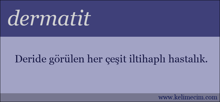 dermatit kelimesinin anlamı ne demek?