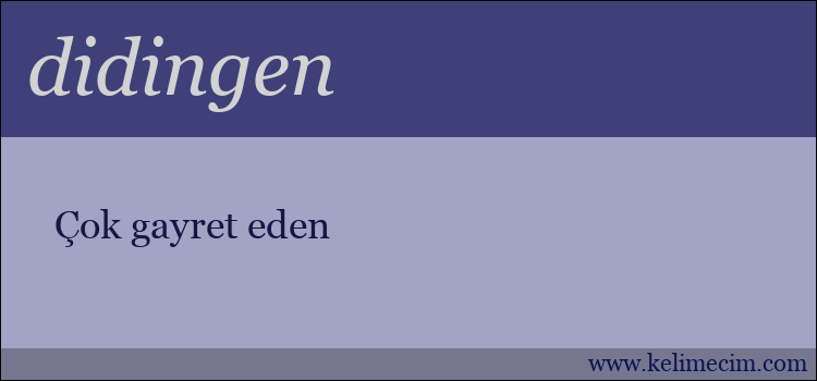 didingen kelimesinin anlamı ne demek?