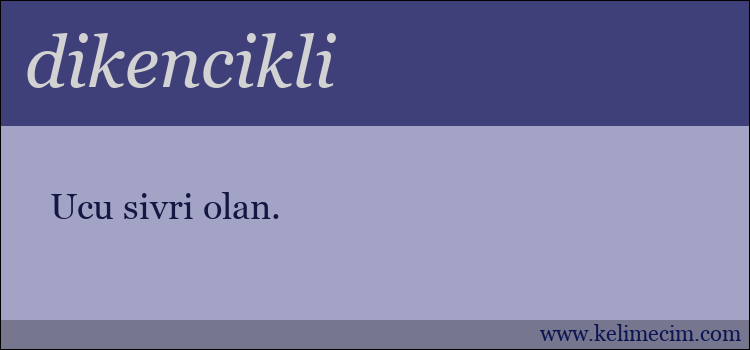 dikencikli kelimesinin anlamı ne demek?